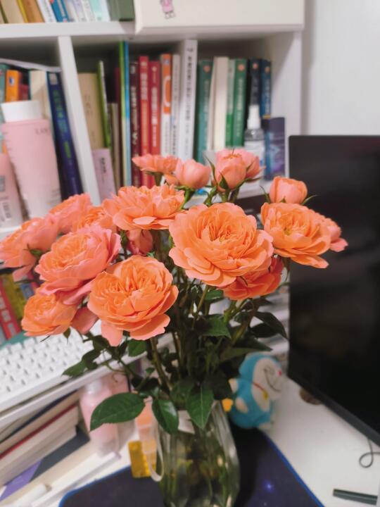 做全盘会计，必须要有统筹能力