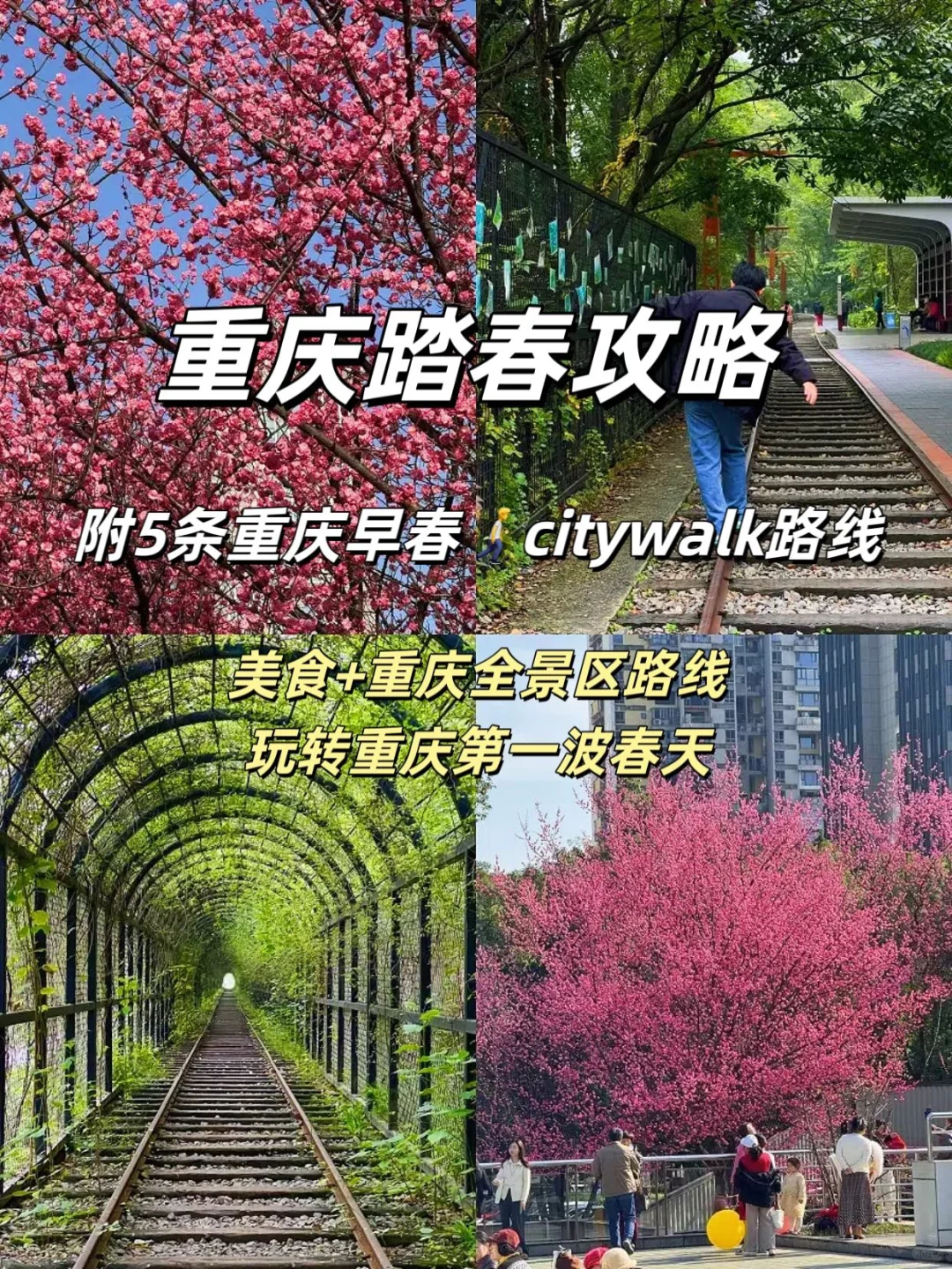 重庆第一波踏春攻略！！（附路线）