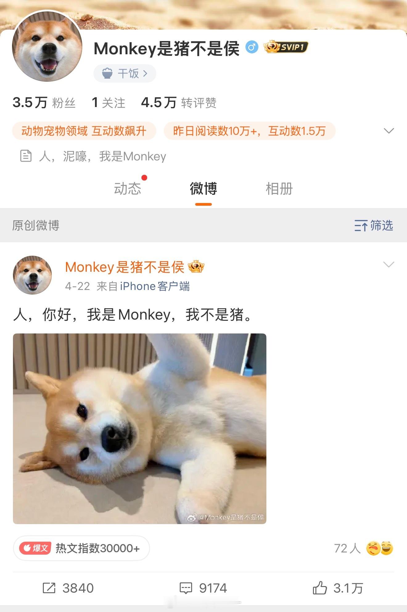 泥嚎，Monkey，为什么还不更新动态……我们等着看呢侯明昊