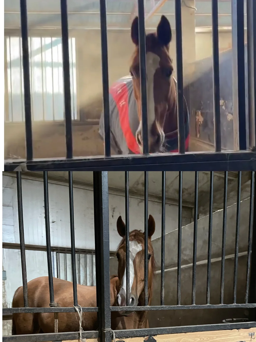 世界是一个巨大的莞莞类卿