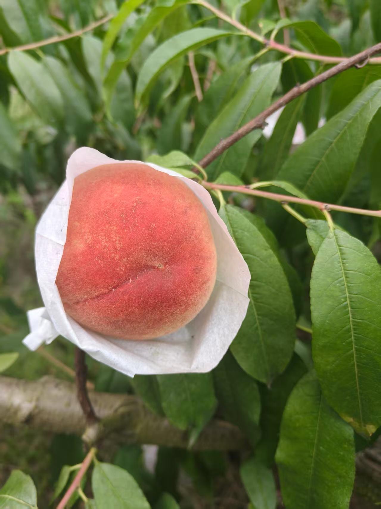 分享你最近随拍的一张照片