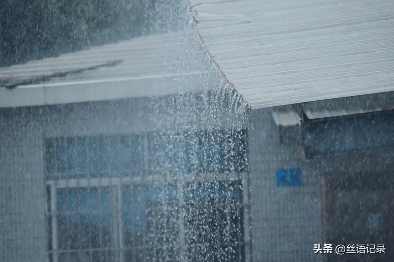 雨紧了
顺着窗户流了下来
所有的门窗已经关闭
这会儿
不能出门了
呆在屋里听雨吧