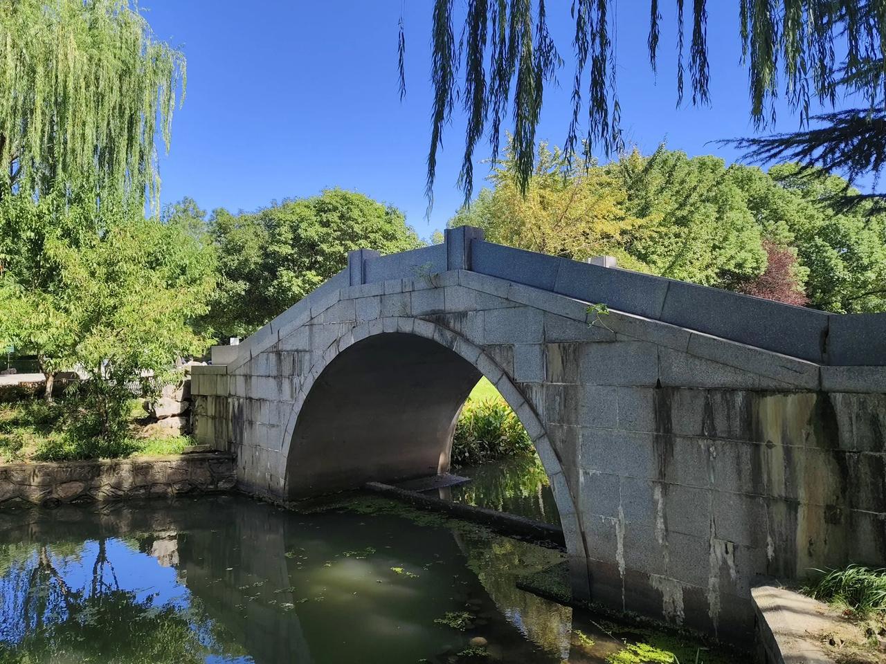 #秋日生活打卡#
生活不易，其实人生只要吃得进，拉得出，睡得着，想得通就好，千万