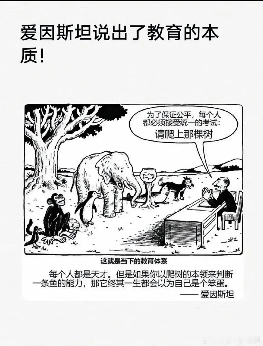 爱因斯坦说出了教育的本质