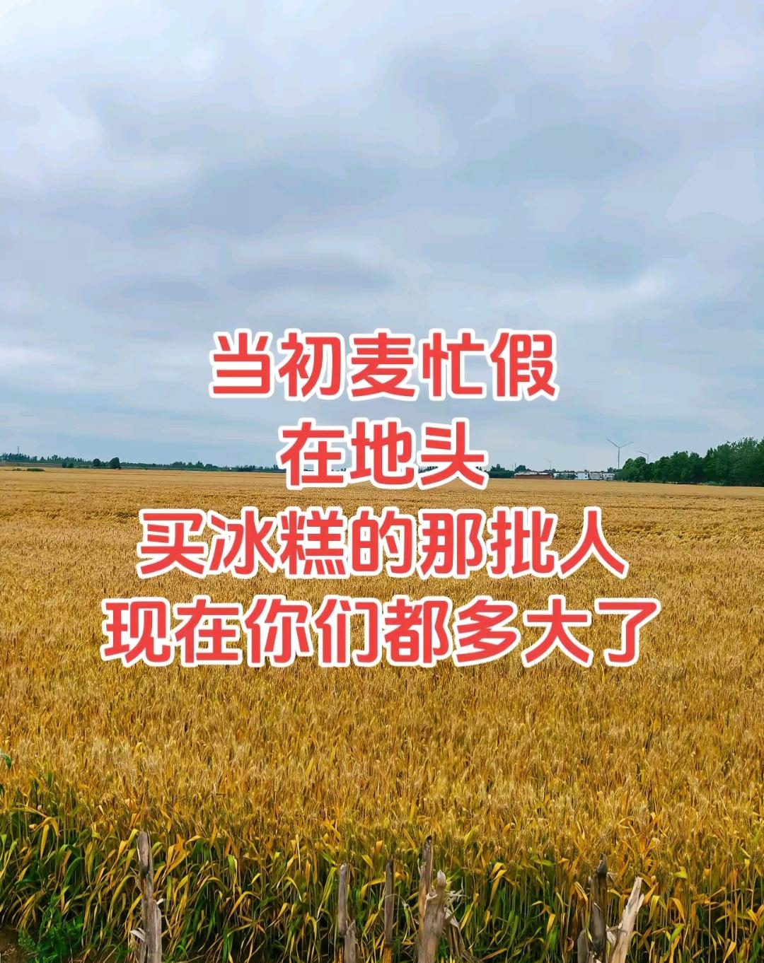 晒图笔记大赛