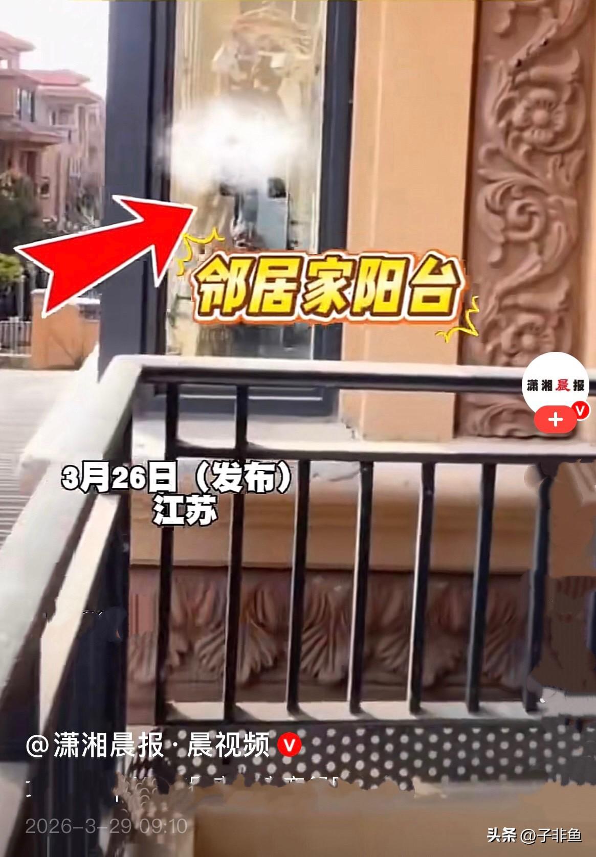 近日，江苏一女子半年没回家，满心欢喜回到自己的家，结果推开窗户的那一刻，整个人都