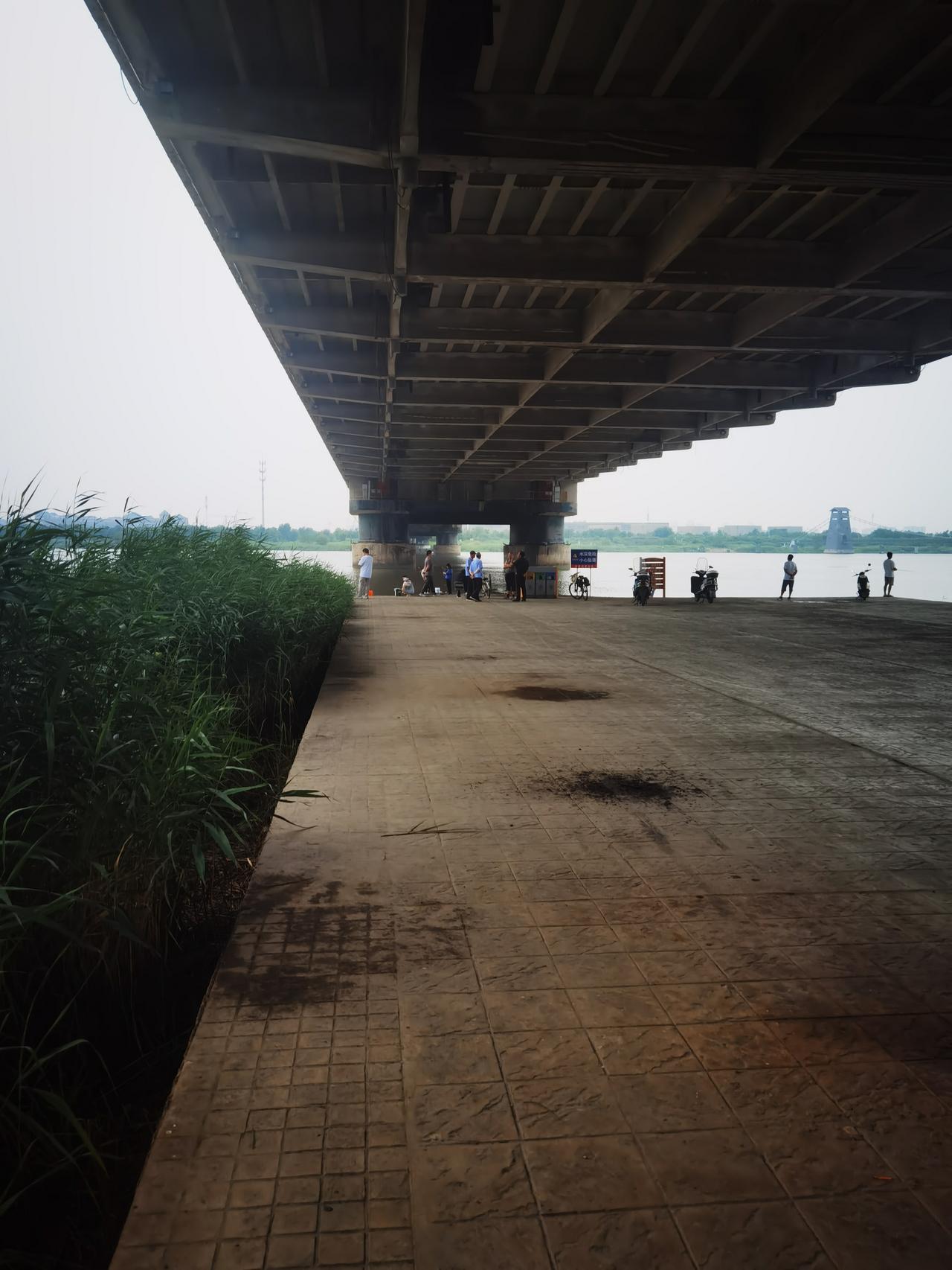 在彩虹桥下面的河里，放生了小乌龟
