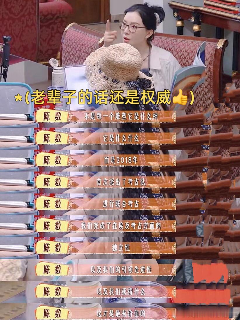 看到陈数一开始就给张雅琪的忠告，才发现老辈子的眼光和水准，果然还是太权威了！虽然