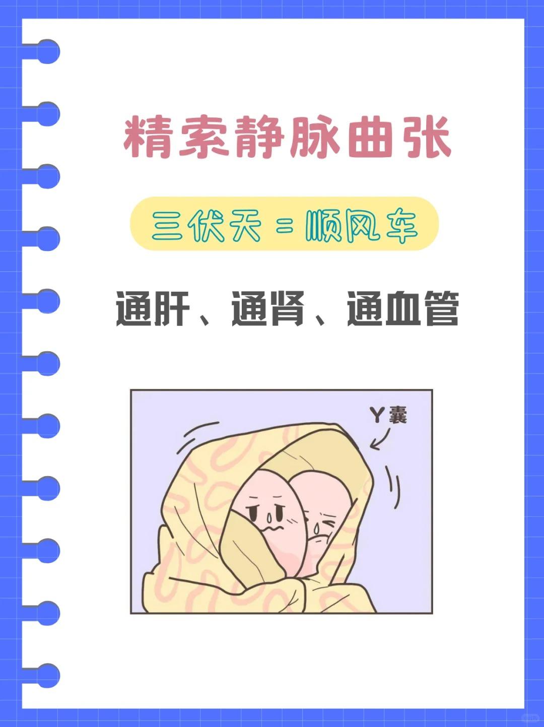 【中医科普~精索静脉曲张：三伏天~通肝，通肾，通血管！】




中医将精索静脉