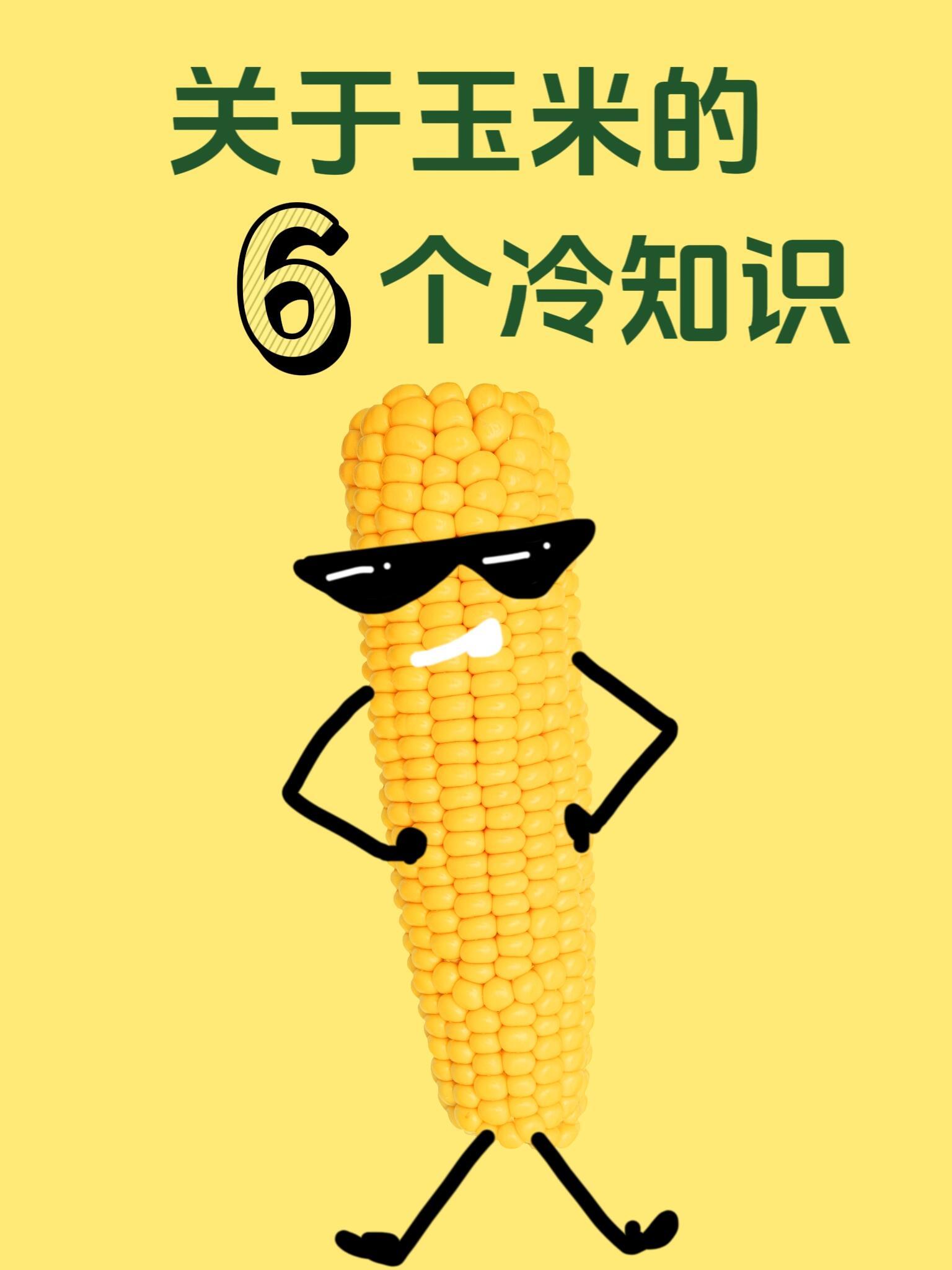 玉米的奇妙冷知识，你知道几个？你以为熟悉的玉米，其实藏着许多意想不到的秘密。 玉