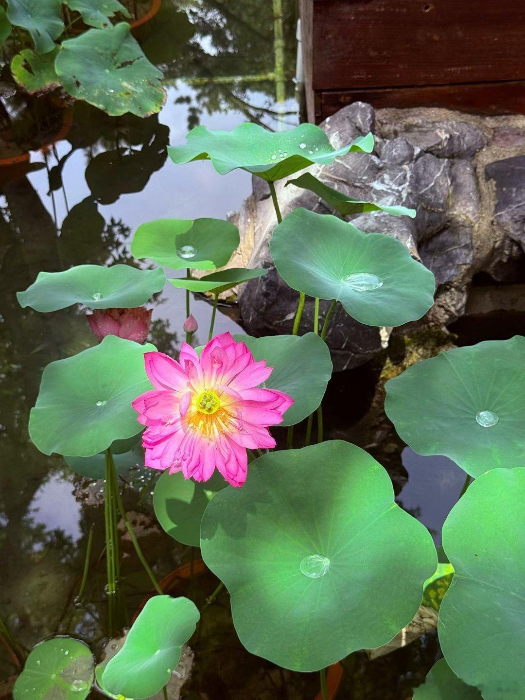 果然没有年轻的时候这么精力旺盛了出差一趟给我干累了好消息是我可以连休四天我决定家