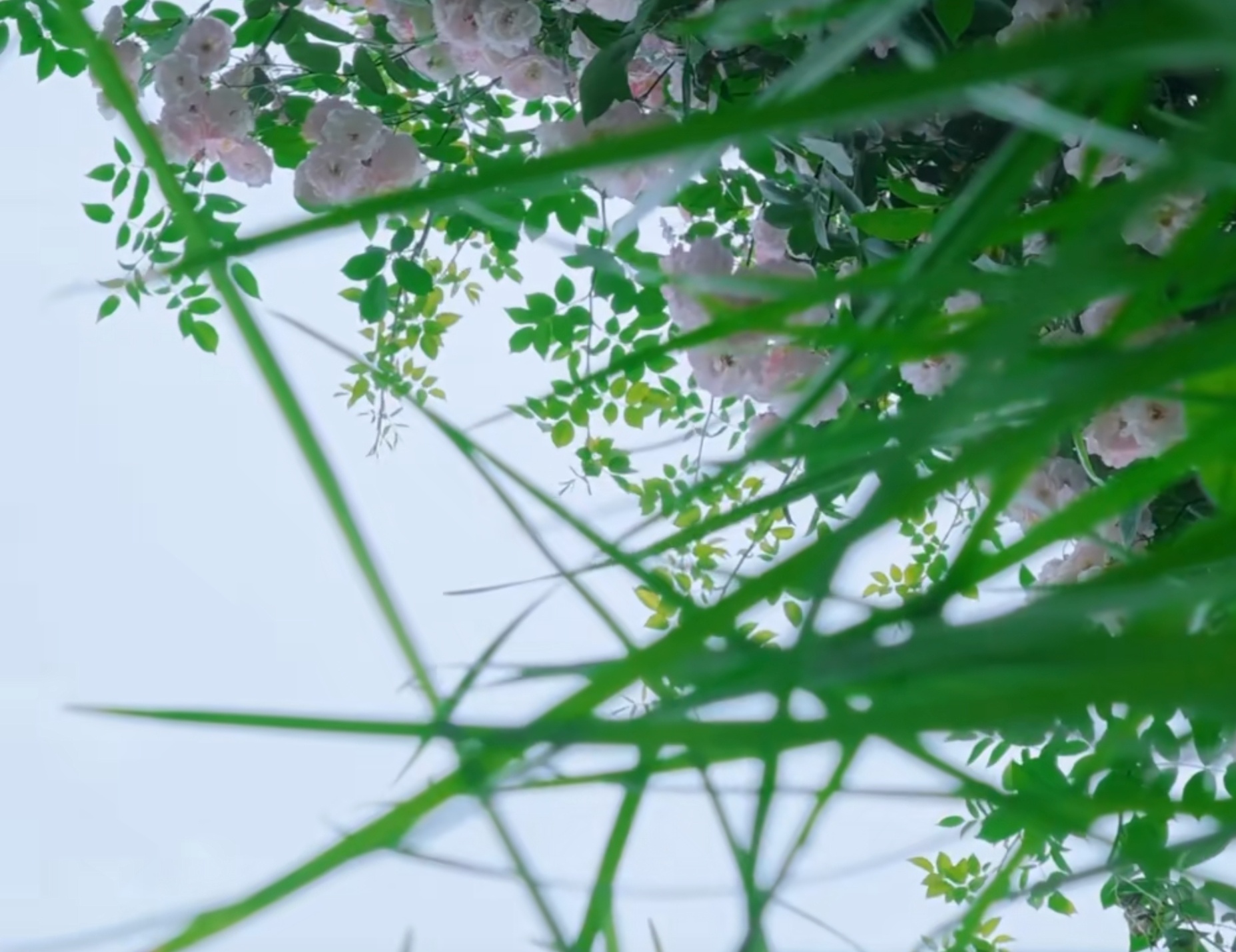不下雨的早晨跑起来。。。 