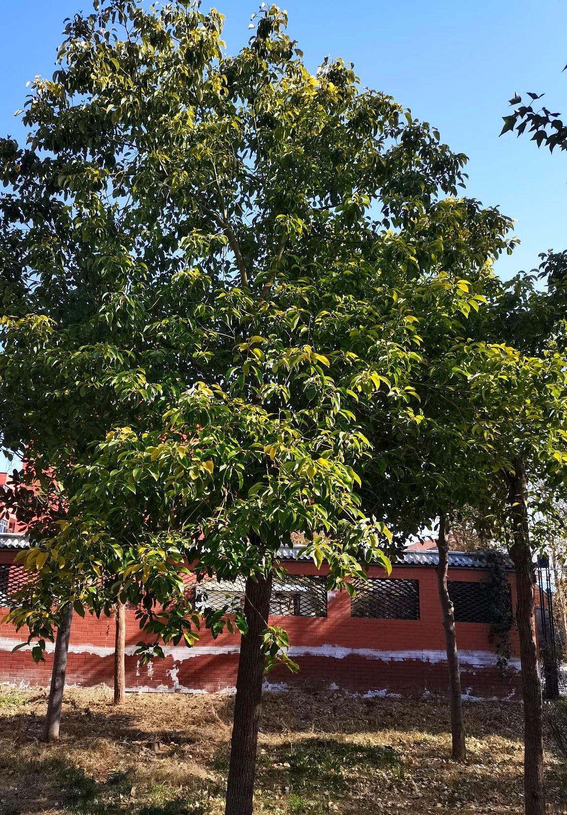 你也会发现自己自然而
 

一开始我只是笨拙地学着让肚子起伏，后来我发现自己总在