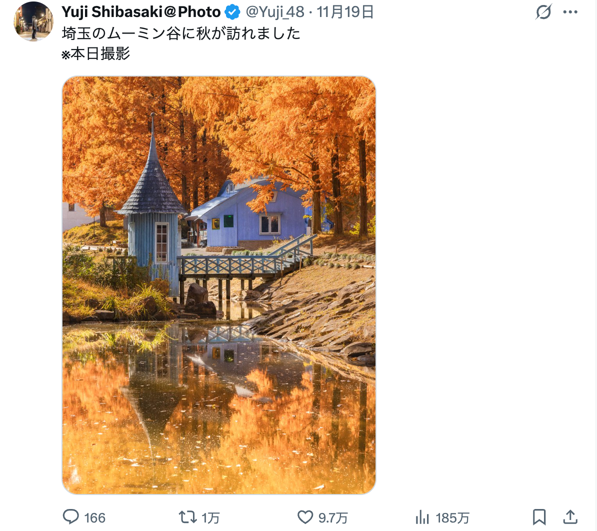 日本摄影师镜头下的，秋之埼玉姆明谷（摄于11月19日）X:Yuji Shibas