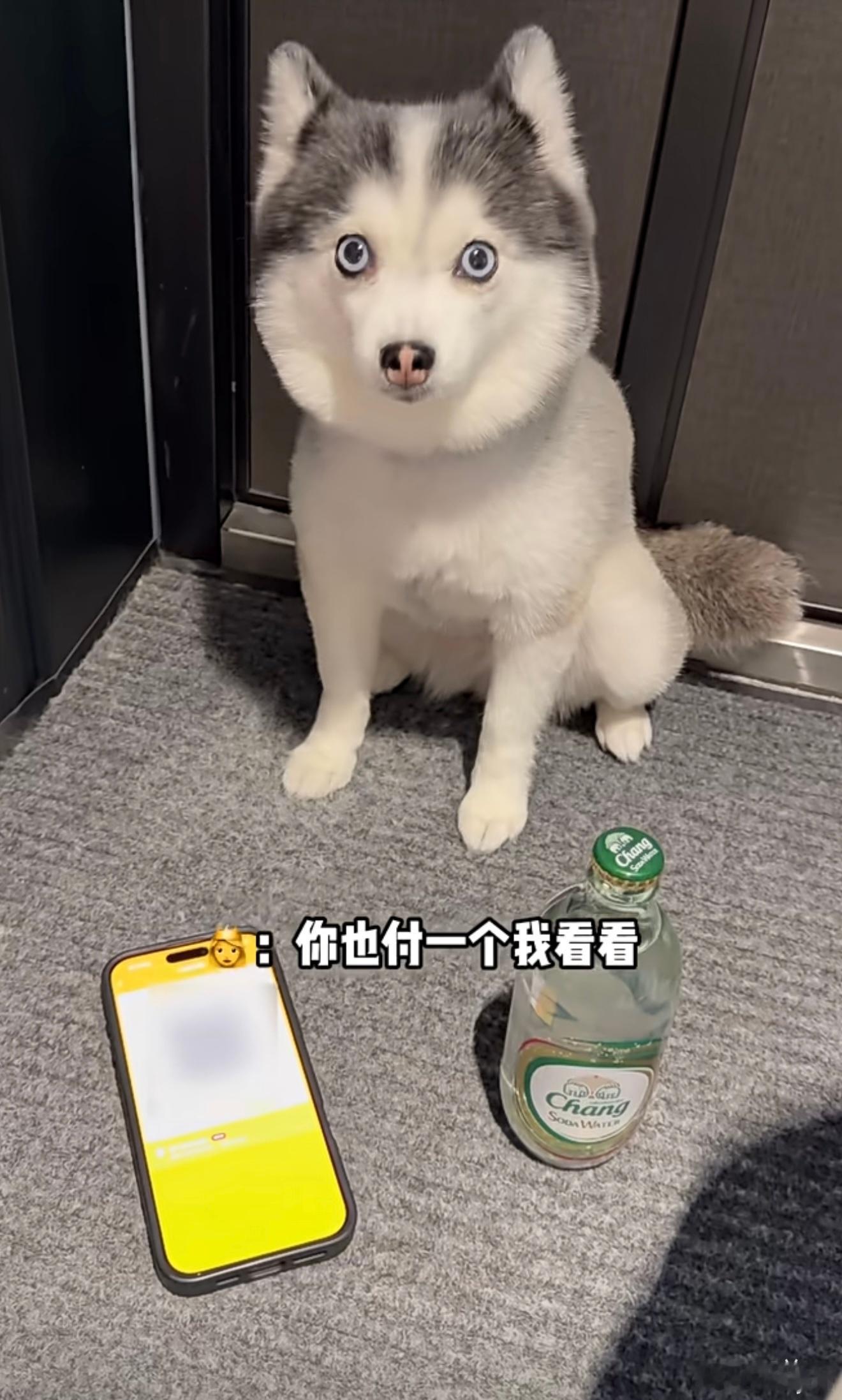 支付宝辟谣狗腿付科技进步始终服务于人，诸多美好的畅想，在未来都有机会逐一变为现实