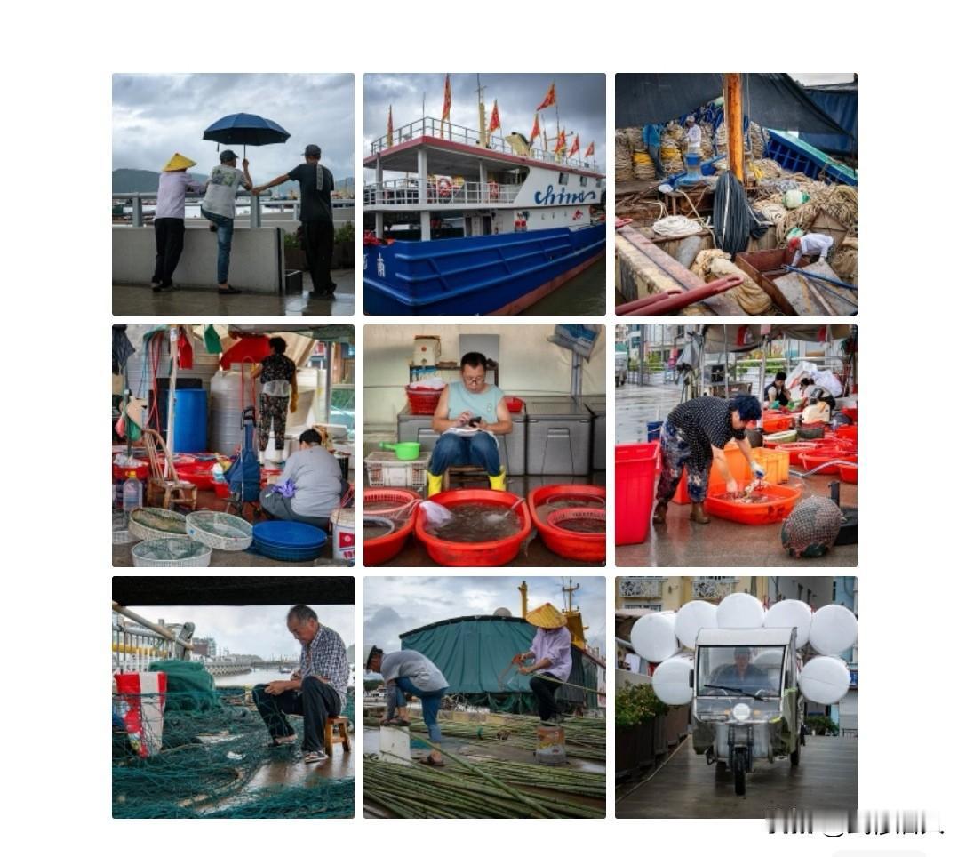 霞关码头
       阴云低垂，雨脚绵密，霞关码头在潮气里醒来。斗笠与蓝伞倚着