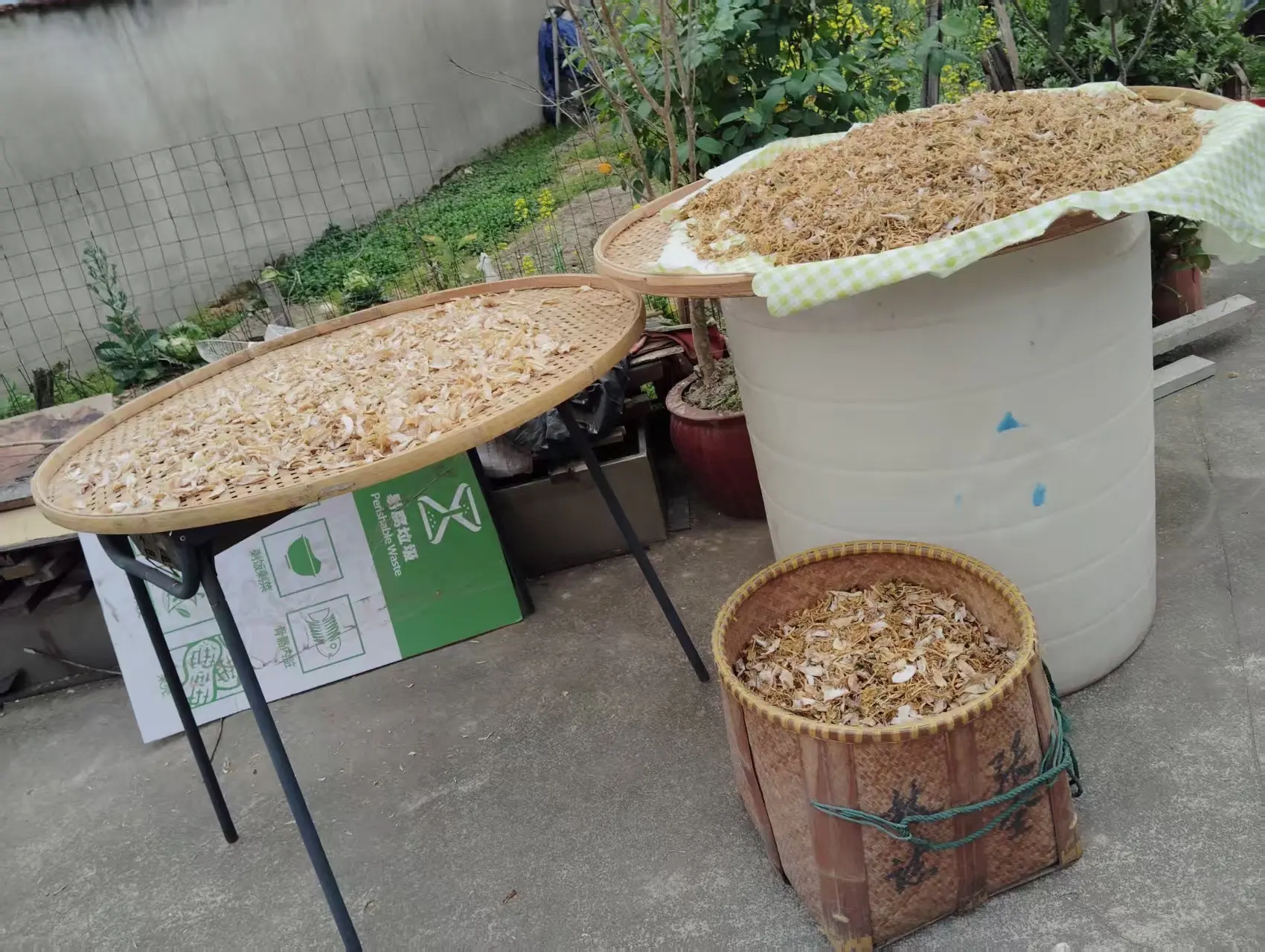 又到了吃笋干菜的季节。