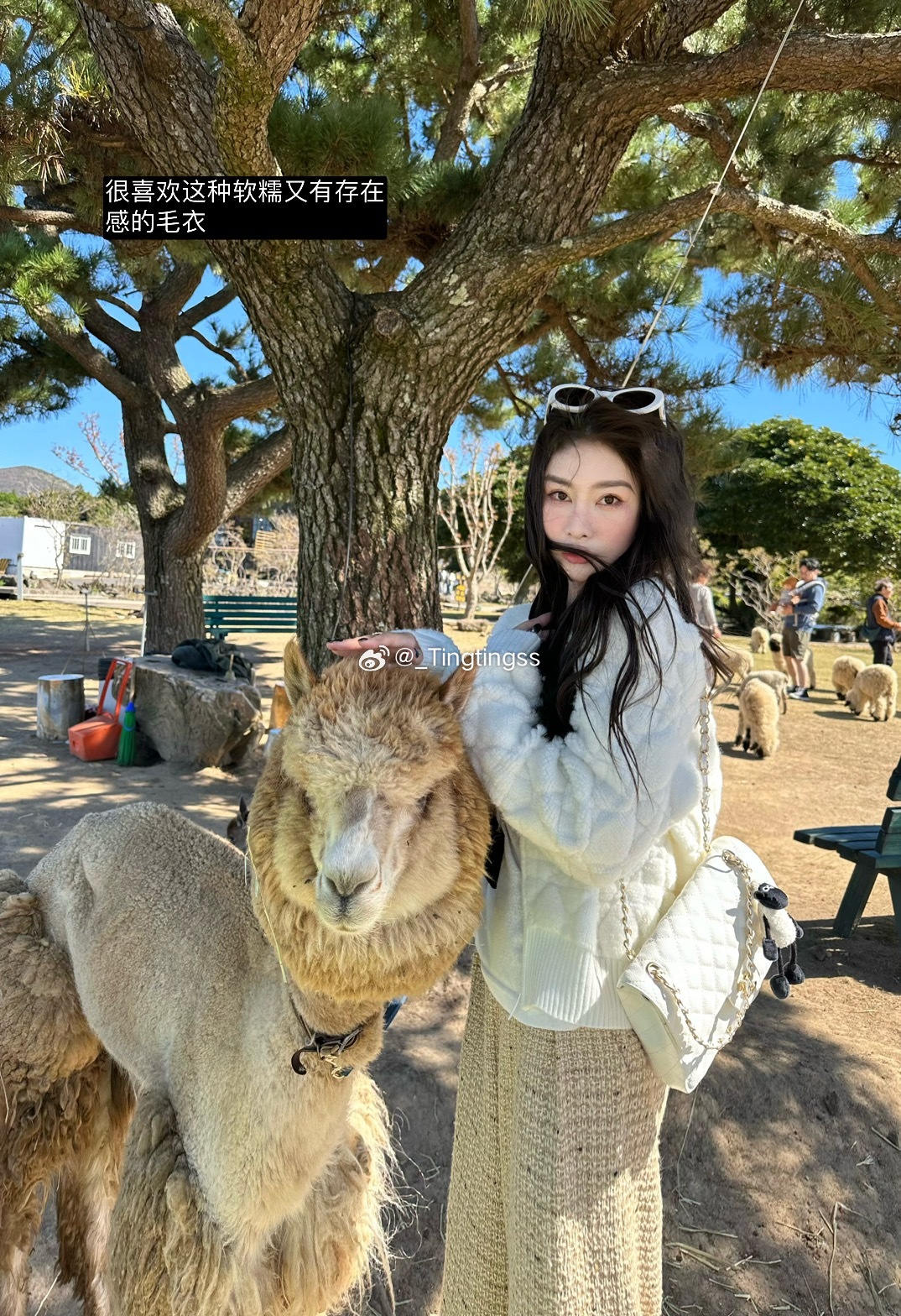 10月的朋友圈  🩰 ​​​
