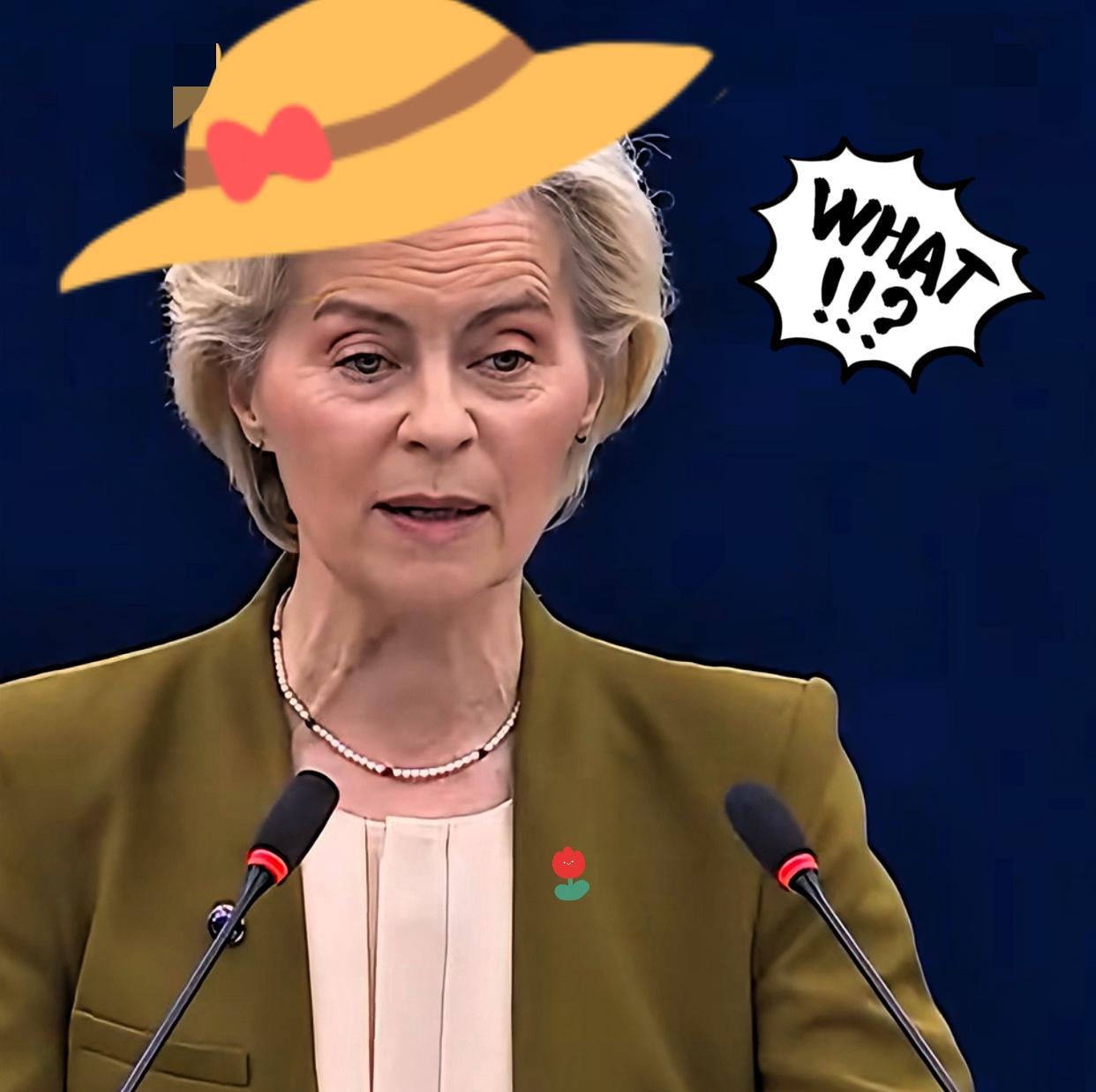 快讯，快讯！
冯德莱恩这回没招了，
之前喊得震天响要加35.3%的关税，结果1月