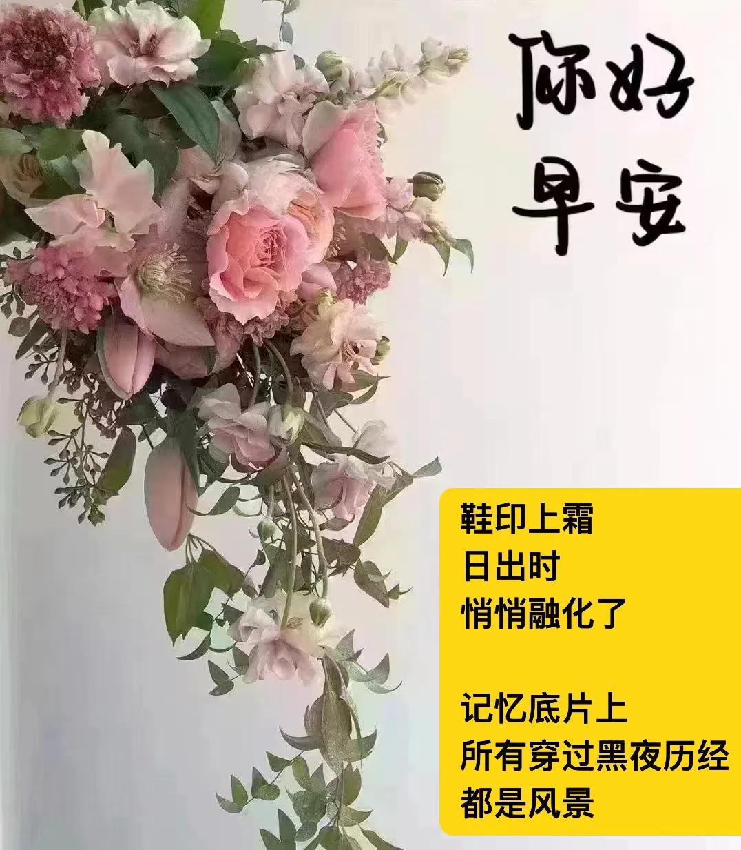 阳光在山野
烟火在人间
．
冬日荒芜
而种子
从未停止做梦
．
若是行囊里
允许
