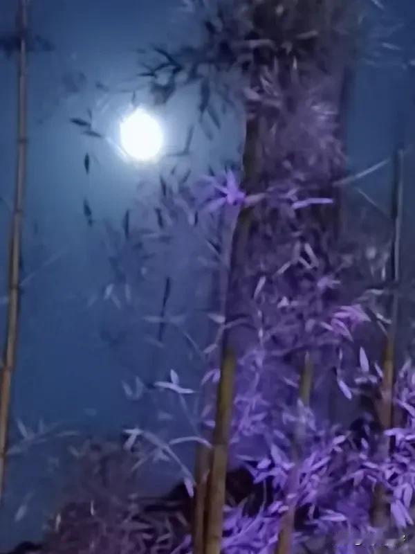上联:星灿鹰姿暖;
下联:月明笛韵寒。
(新韵)
友友请邀对下联 友友对出上联 