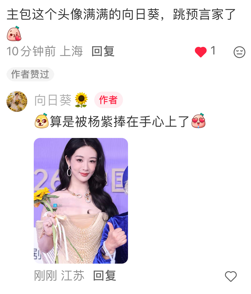 杨紫 怎么能不算是被杨紫捧在手心上的🌻