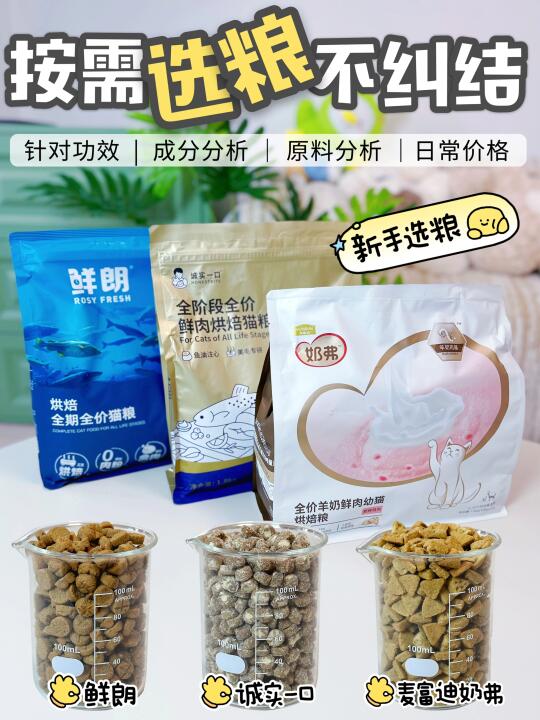 按需选粮！快来找下猫咪的“心头爱粮”