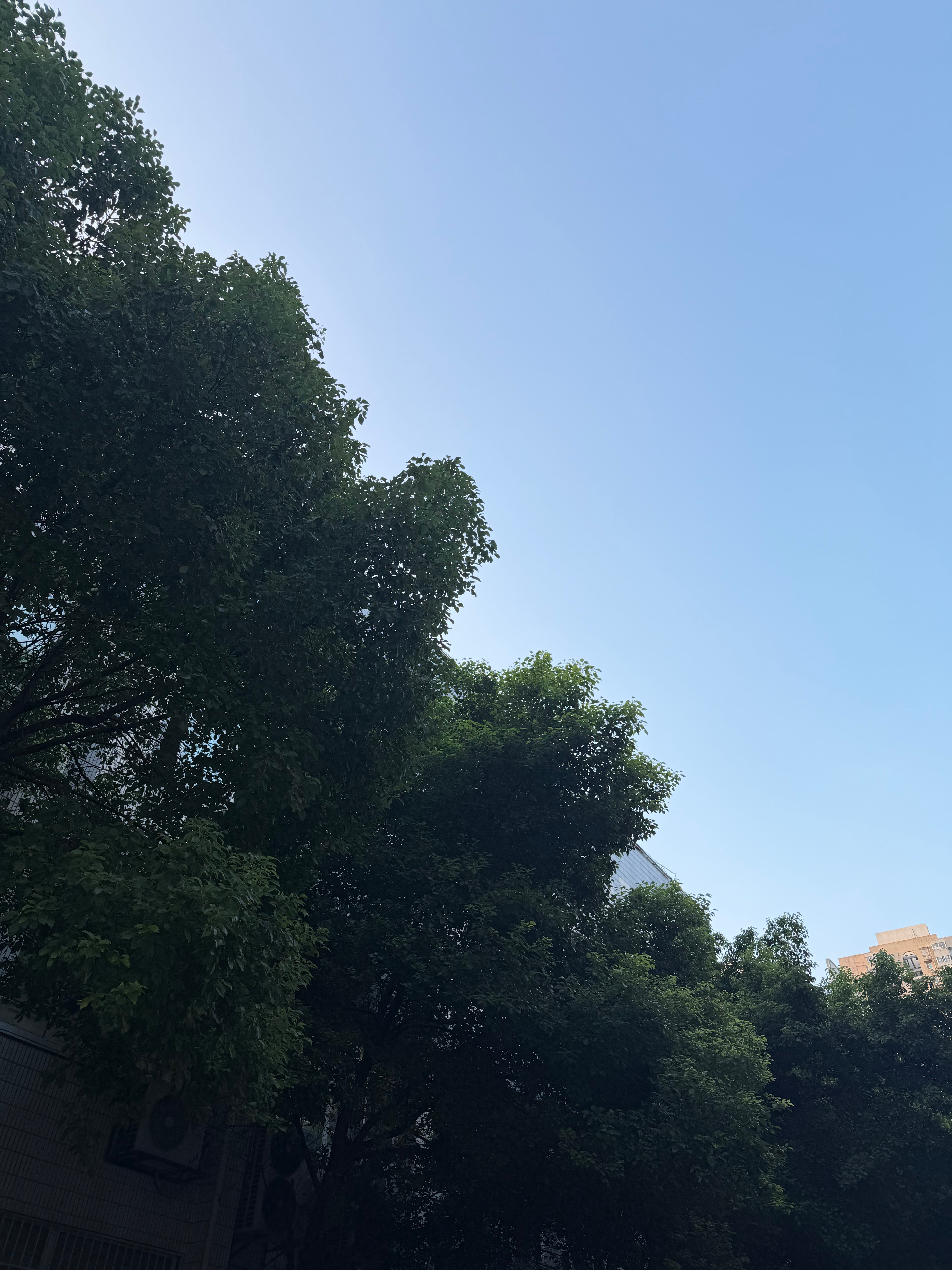 早上好呀大家[期待][么么哒] ​​​