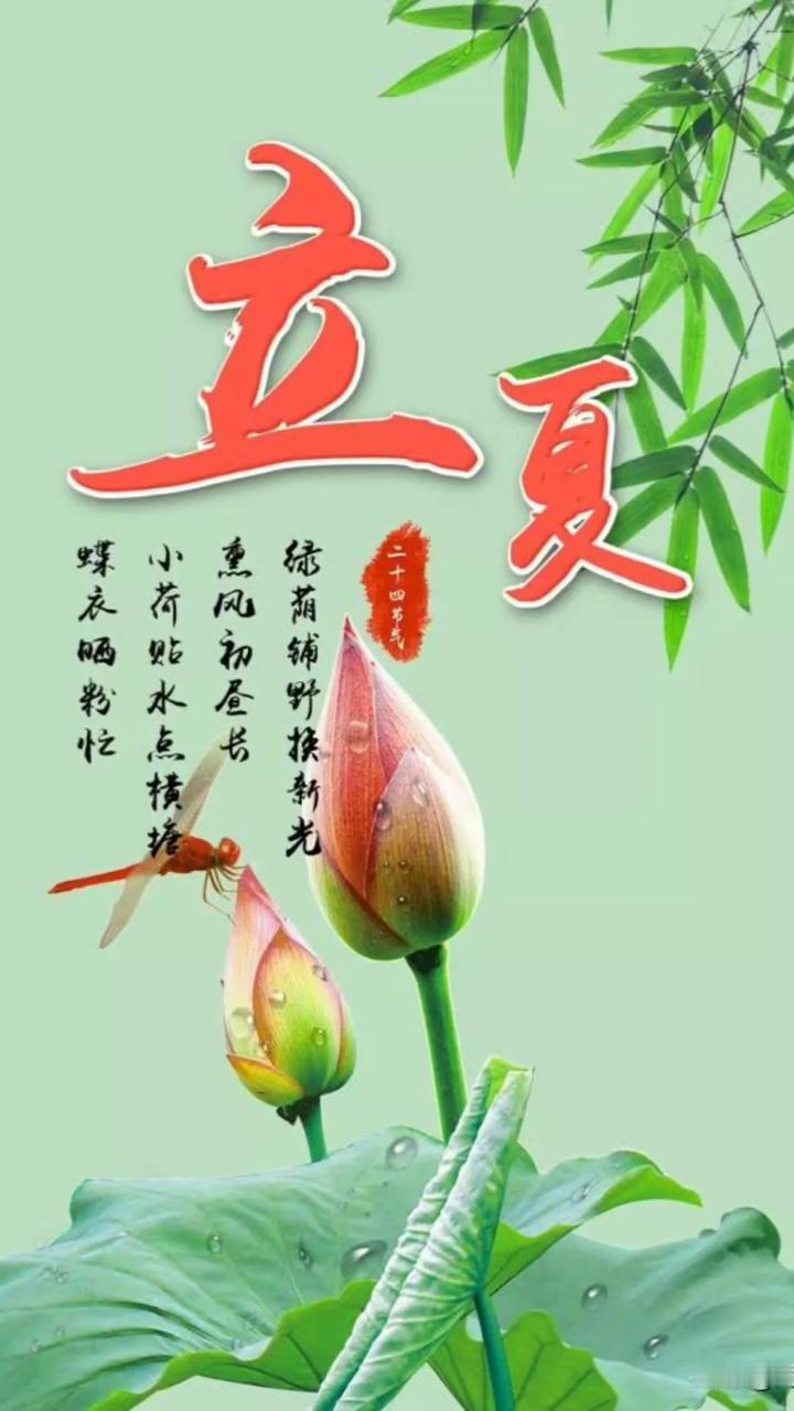 蝶衣晒彩忙。
小荷贴水点，生的书。三夏月，蝶衣晒彩忙。