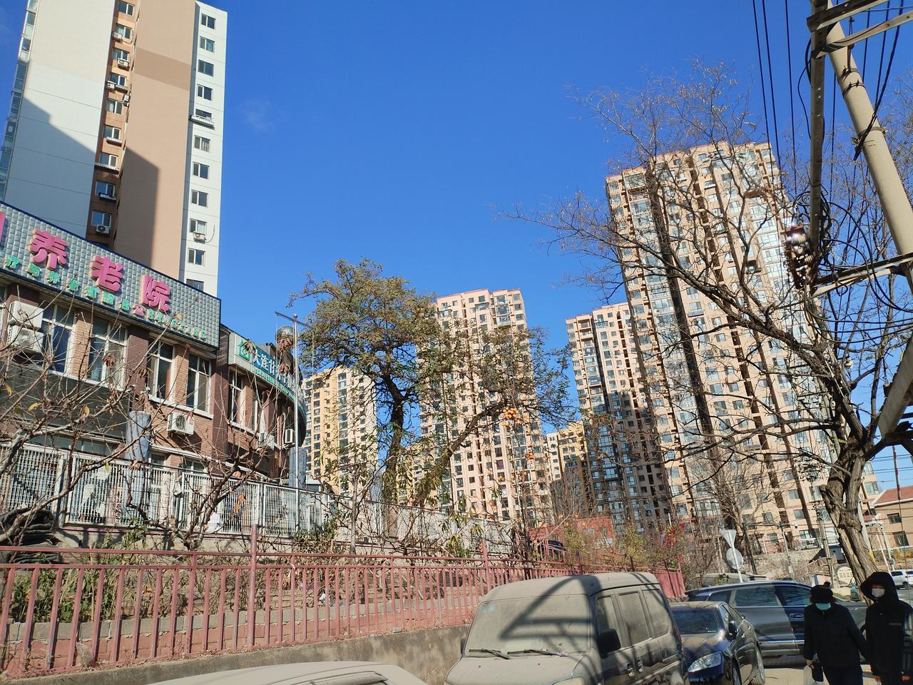 立冬小雪日，柿傲满枝头。