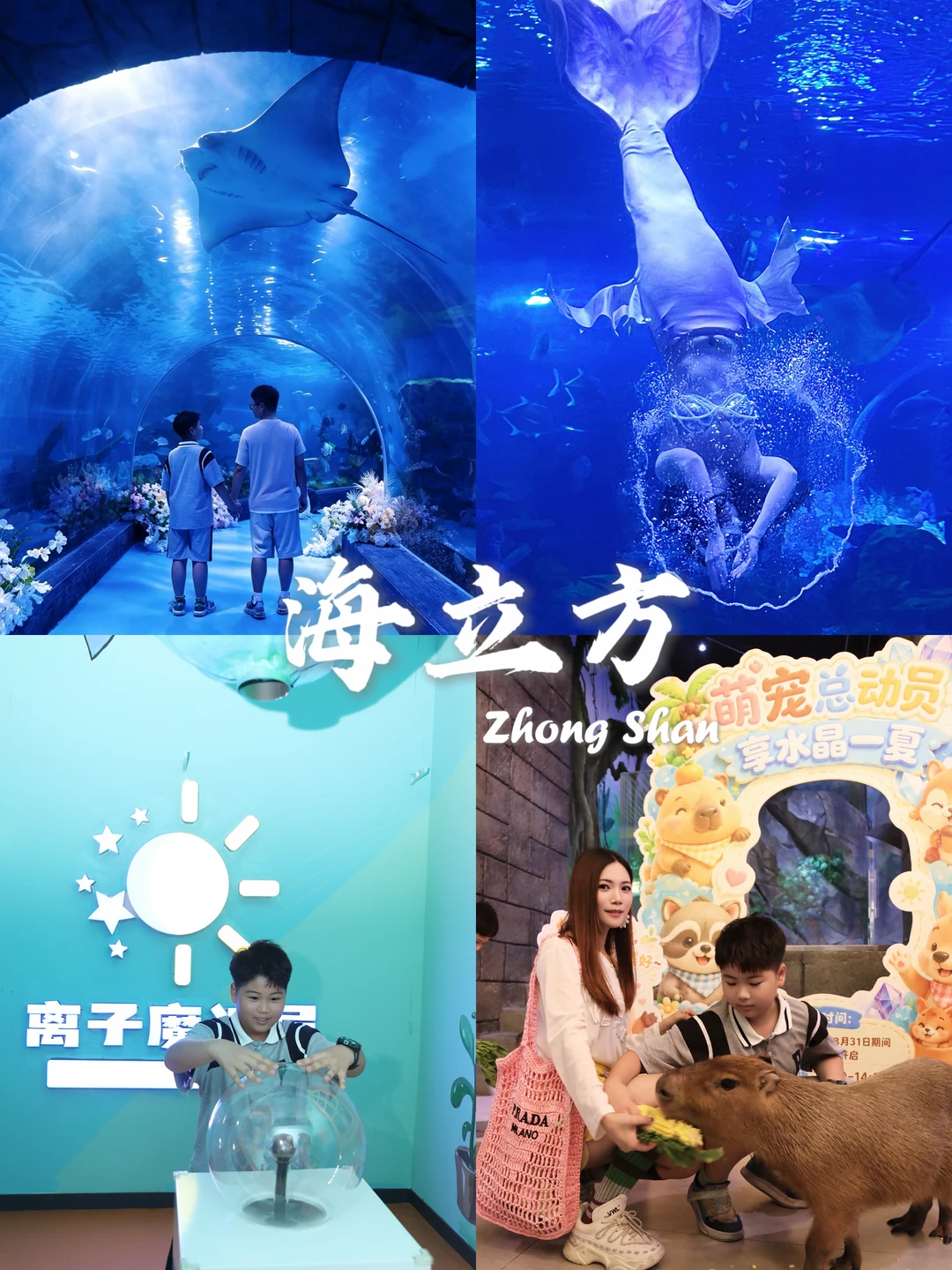 带娃躲进中山“海底世界”，儿子说下次还要来！