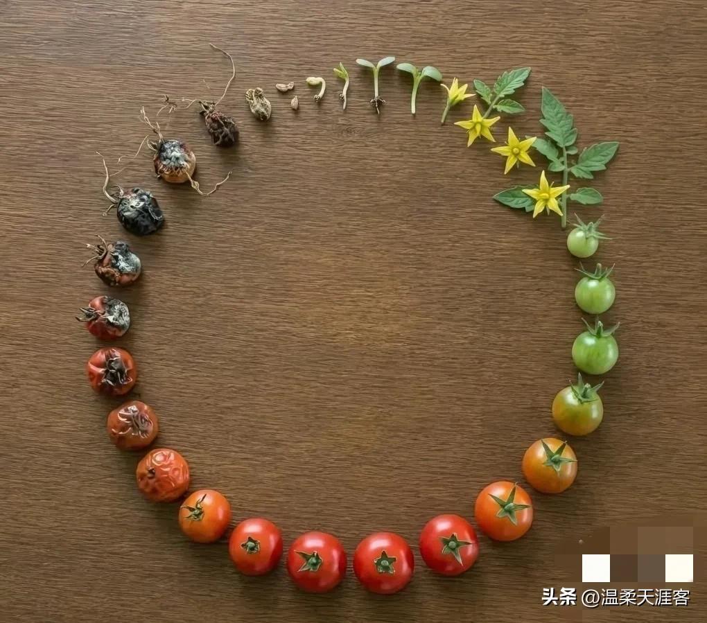 网友文案感慨人生意义:
既然每个人的终点都是归零，

那活着的意义大概就是:
