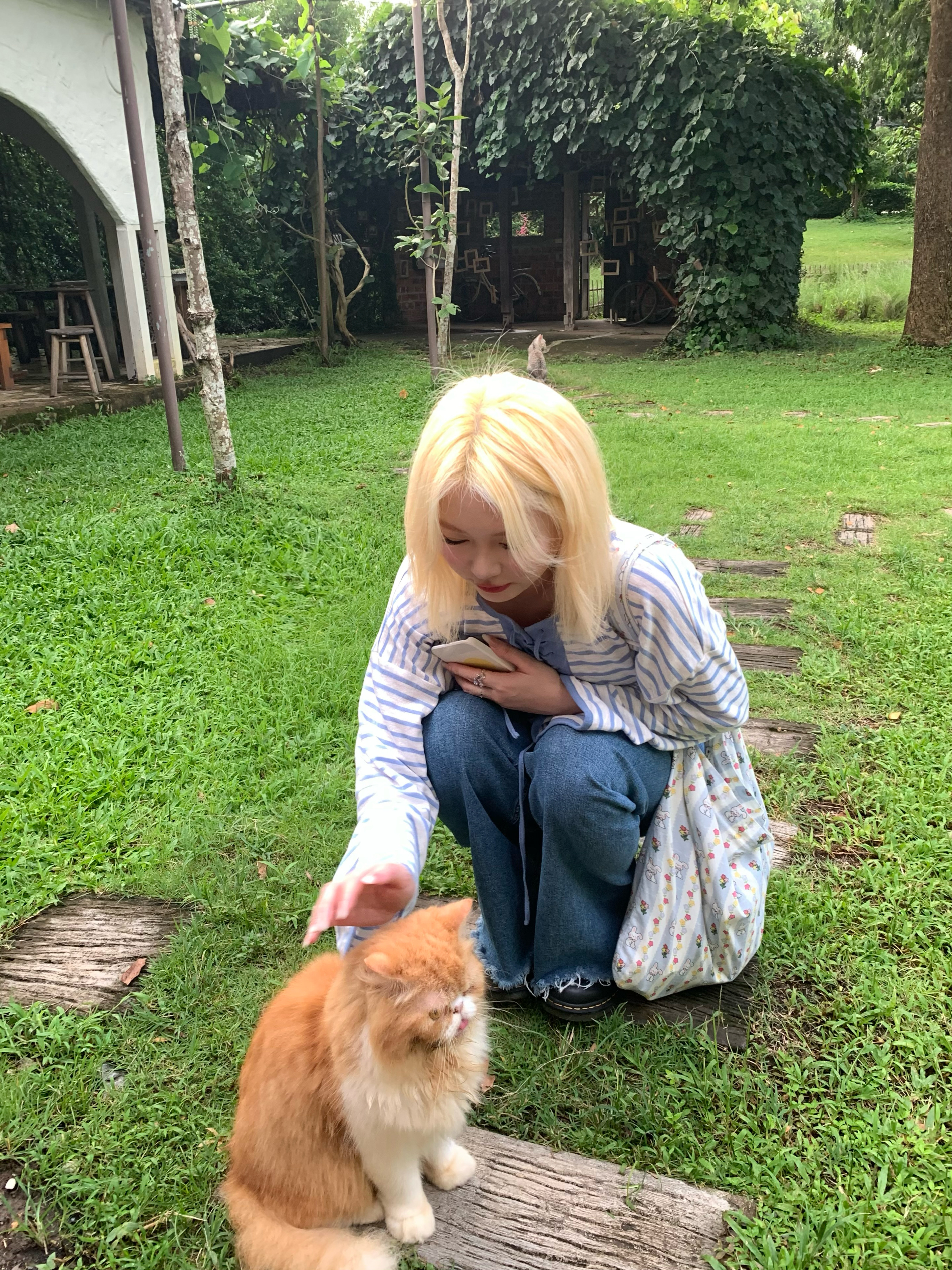 🐈🍃🥥🫧吃吃吃🇹🇭 ​​​