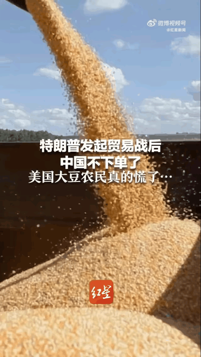 心慌慌的美国农场主！大豆收获季节要来了，可是气象局的预测结果让农场主们心里没底，