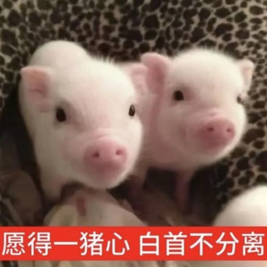 蜜蜜们我和也想🈷️点新朋友[期待] 帮我🧱🧱好吗[奶牛猫] ​​​