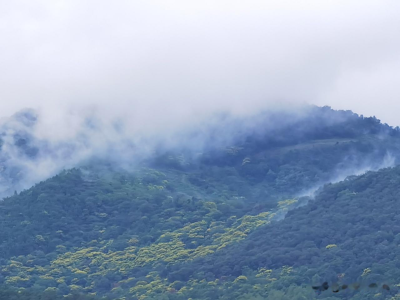 我看青山多妩媚
青山看我亦如是
那白云之上
可否有光[比心]