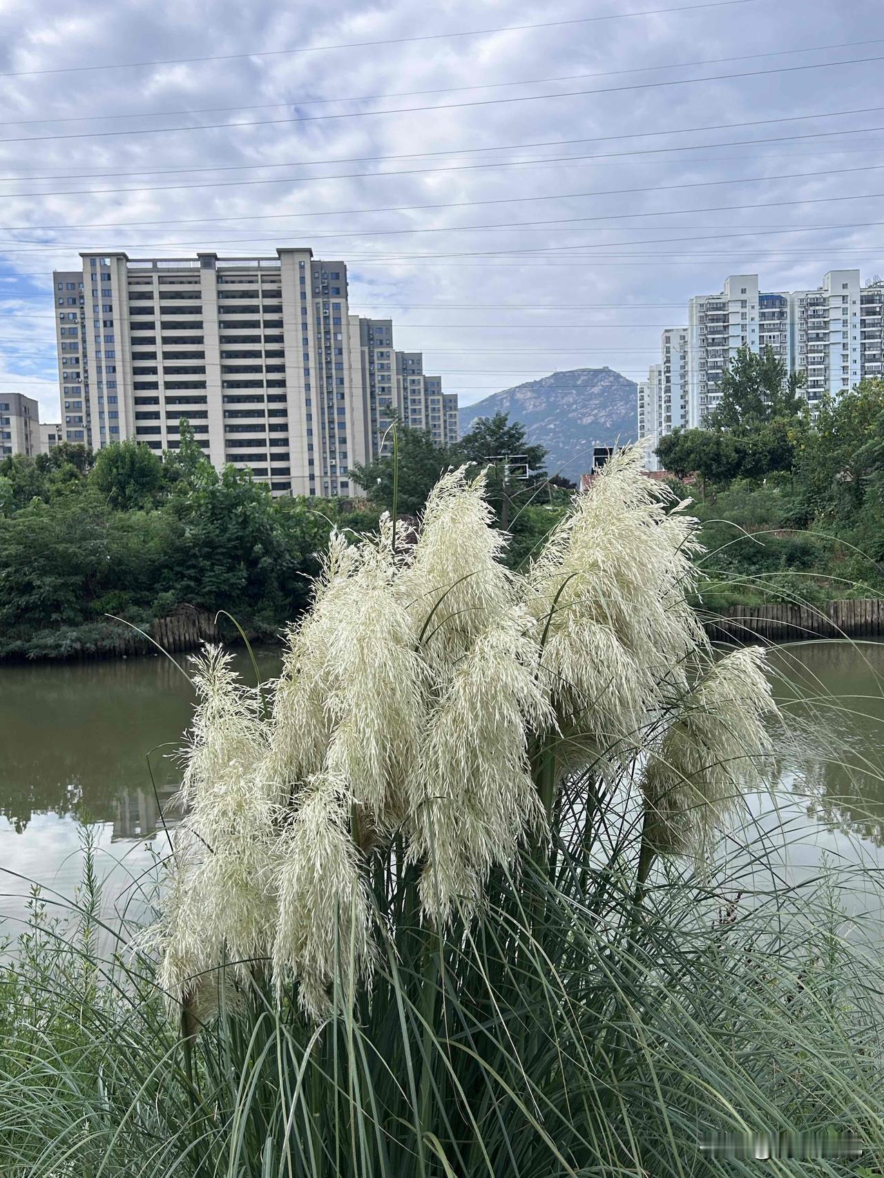 活了整整五十年，我今天才真正通透一个人生道理：什么叫心甘情愿。

心甘情愿，从来