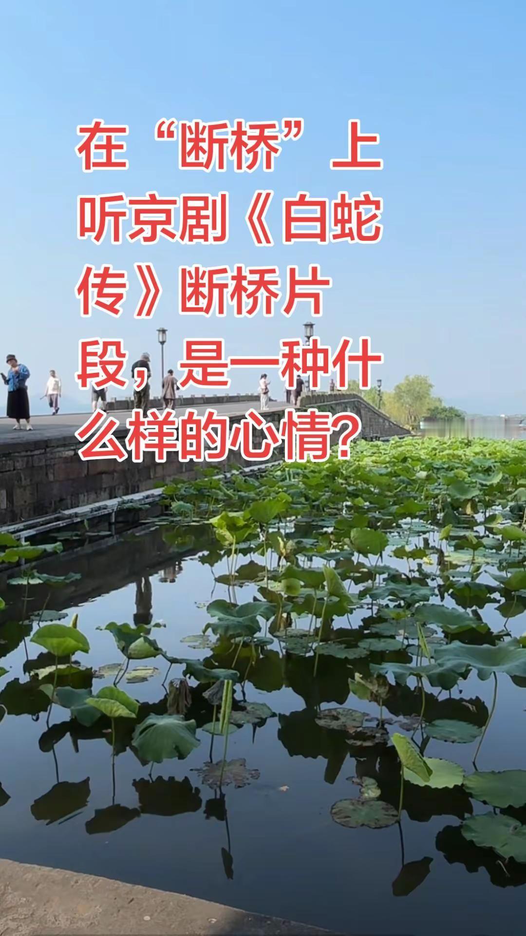 京剧《白蛇传》断桥片段，李胜素的演唱让你无法拒绝！