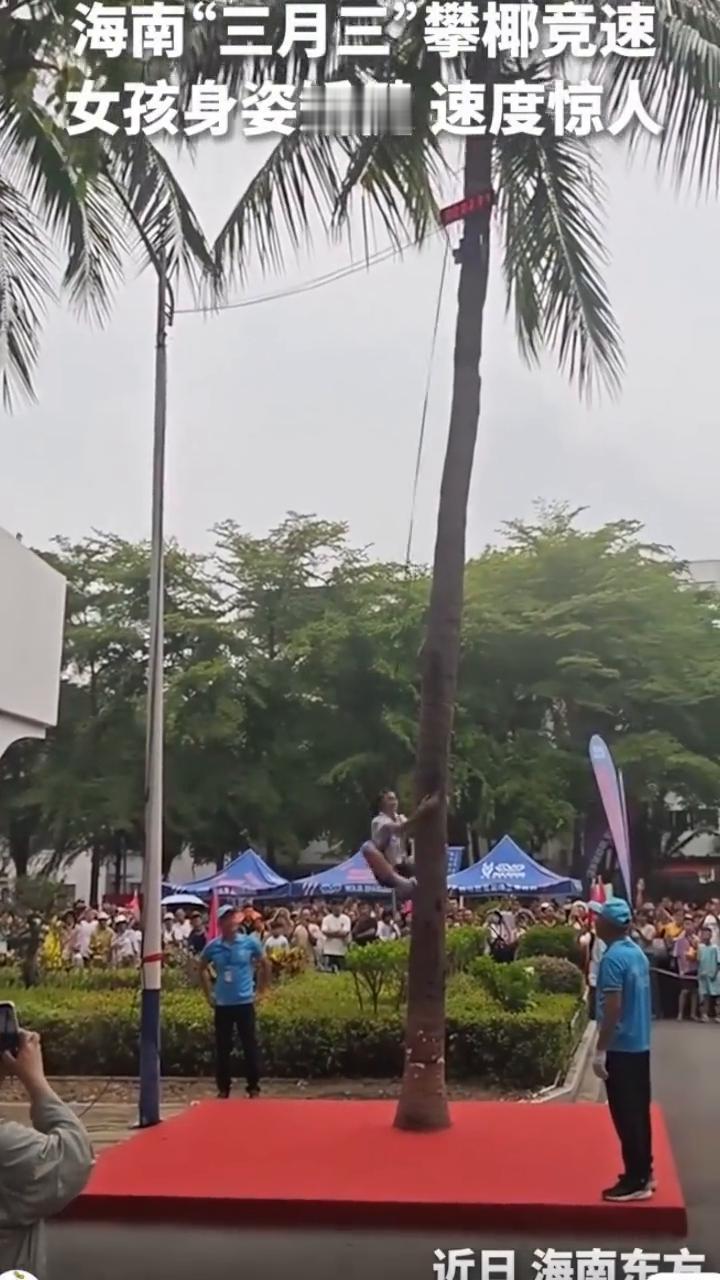 海南"三月三"攀椰竞速，女孩身姿矫健，速度惊人。
海南广播电视台。
加油，我都瘦