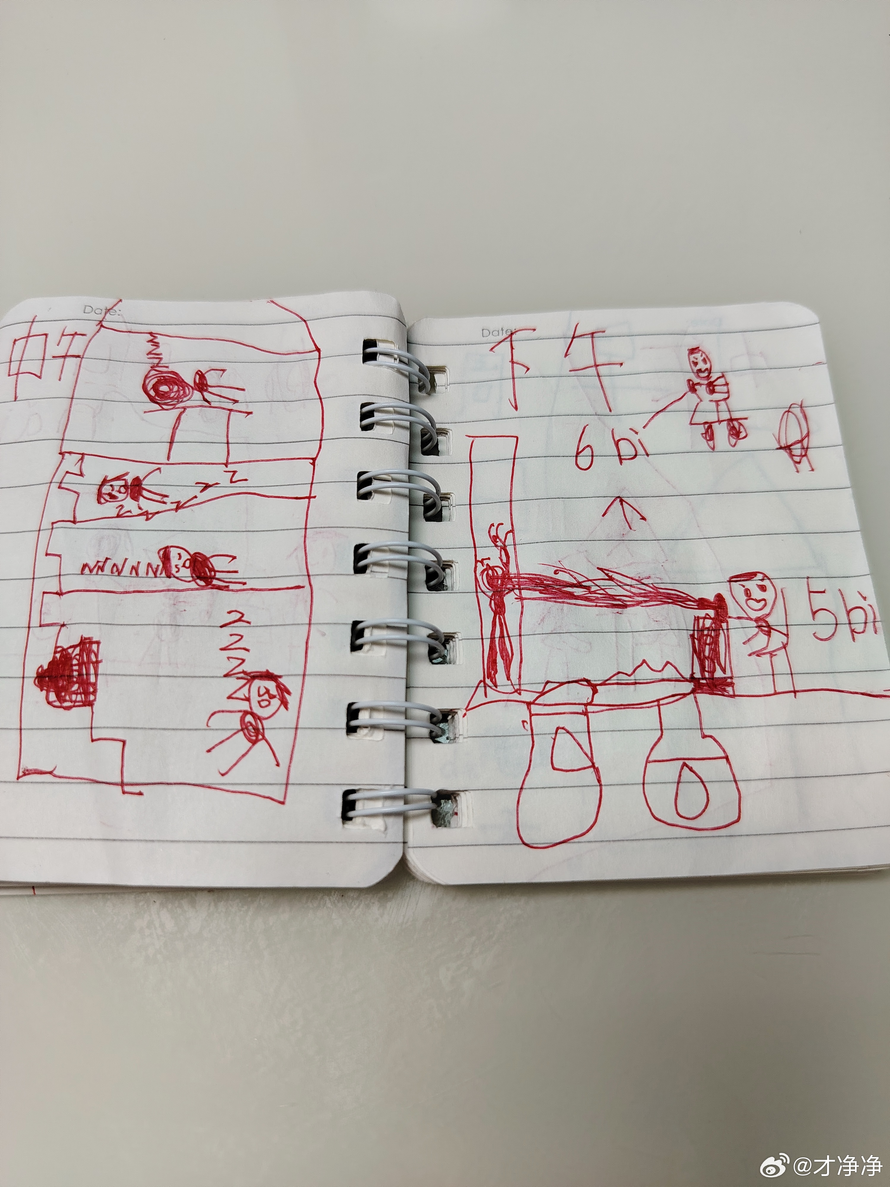 幼儿园大班的崽崽，写的日记 
