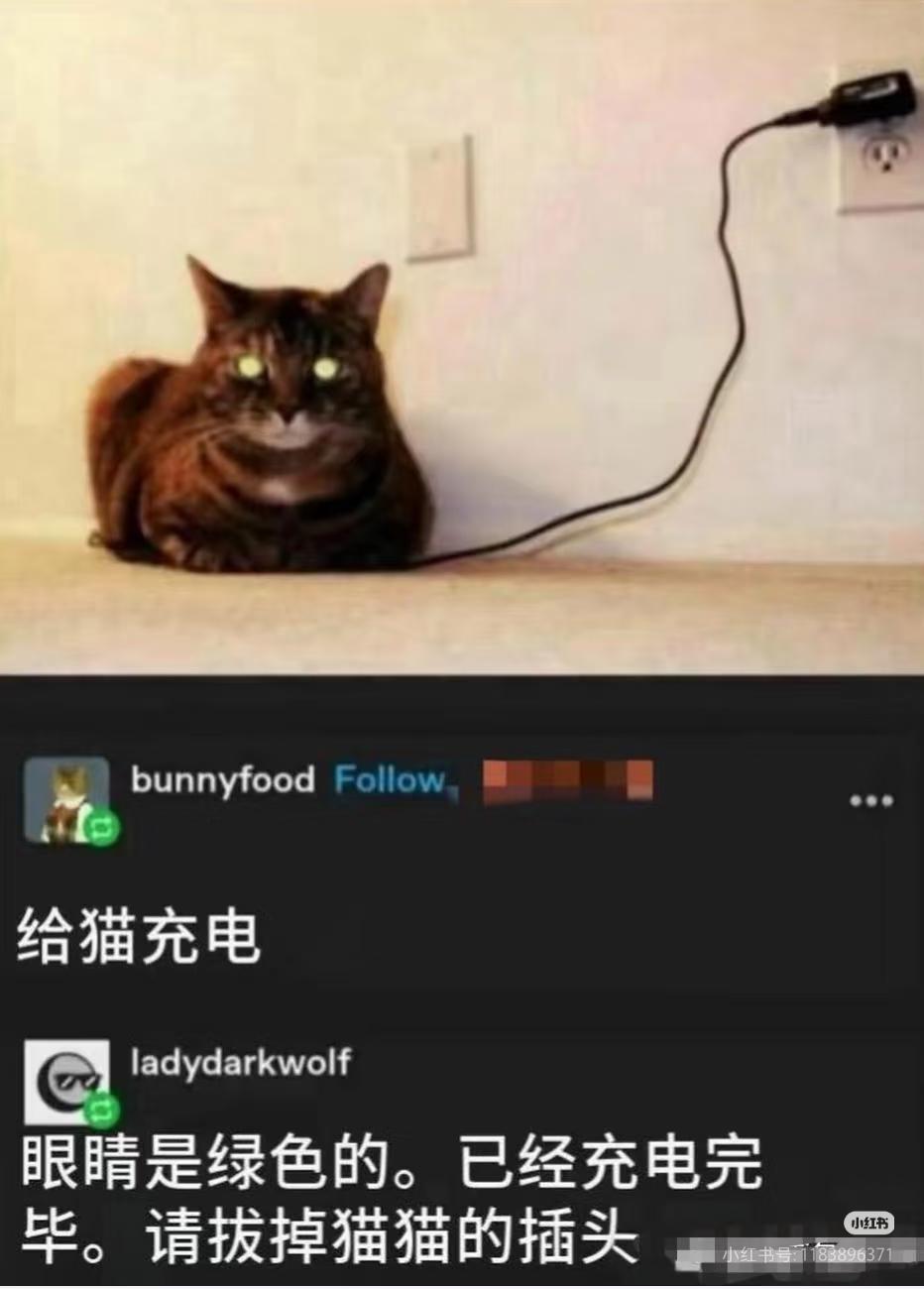 好家伙，是这样的吗[捂脸]