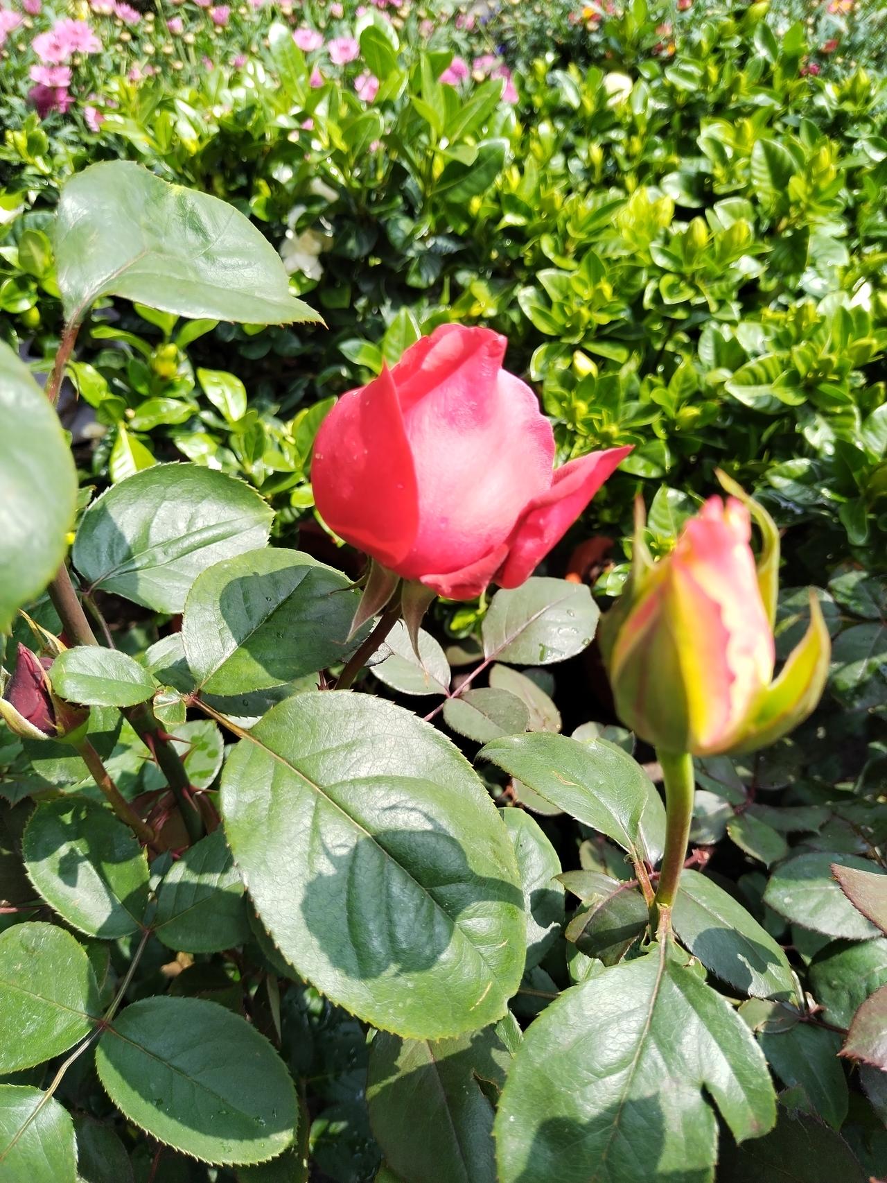 【趣联联趣】
上联：宋理书成长短句
下联：？
【一字千金】
《河柳下母教子书》