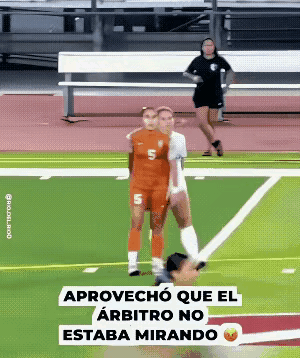 球场冲突吵上热搜：为啥所有人都站边说踢人必须罚下？

最近这段球场冲突的视频刷爆