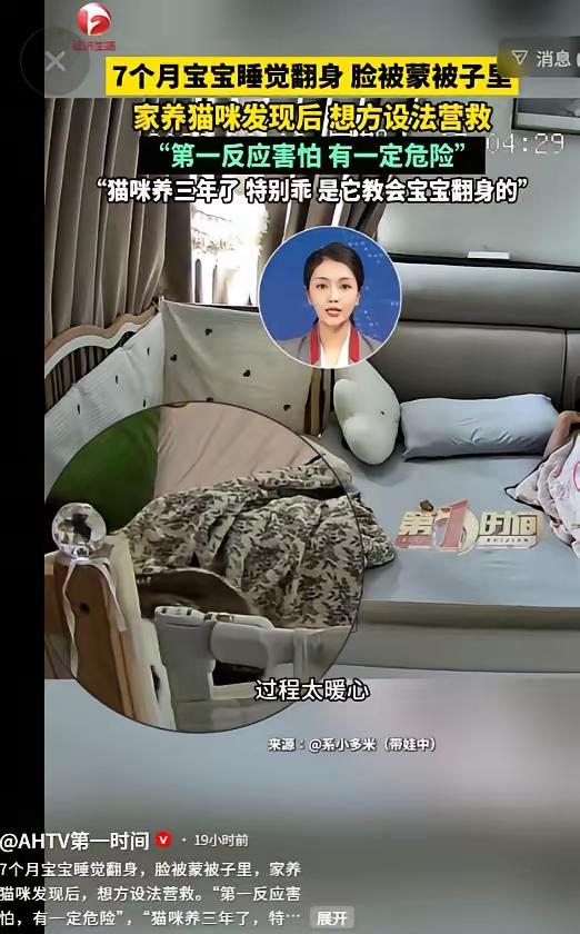 万物皆有灵！宝宝熟睡被被子蒙头窒息遇险，报恩猫咪连环施救，救下小主人一命
 
世