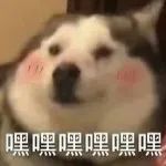 ⭕ 【来提名“她在闹他在笑型CP”】～～～