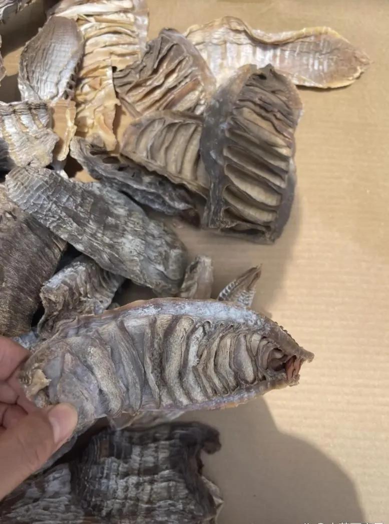 友友们帮看看，谁懂啊！这东西是乡下的一个亲戚寄过来的，她说这是菜，我左看右看，看