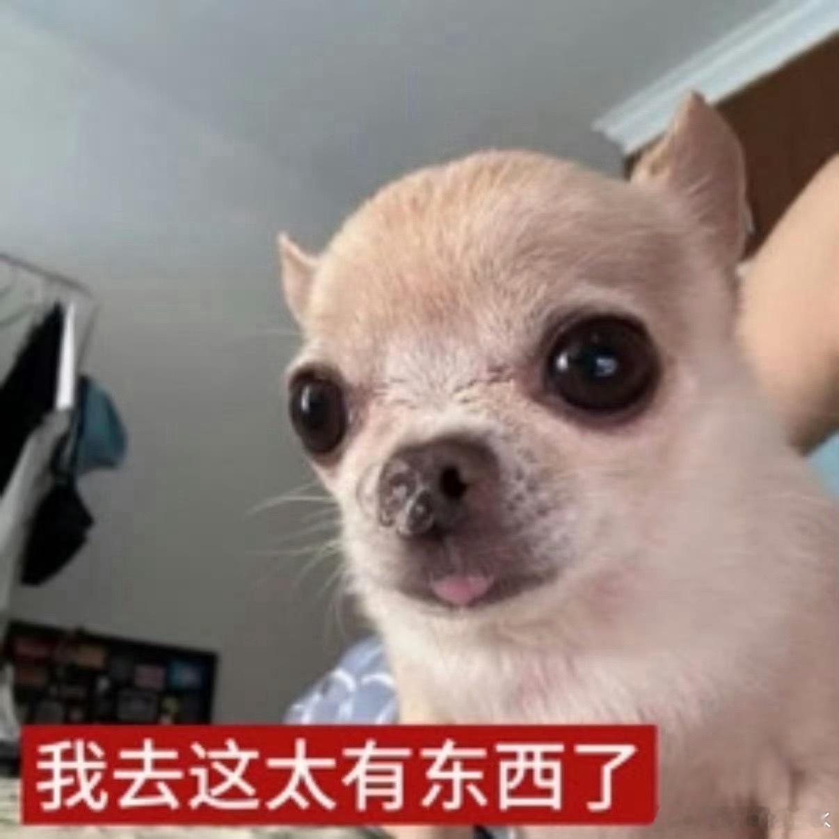 买了一箱绿皮香蕉我要一天吃两根！之前去菜市场买水果我说我要边上泛绿的香蕉小哥说这
