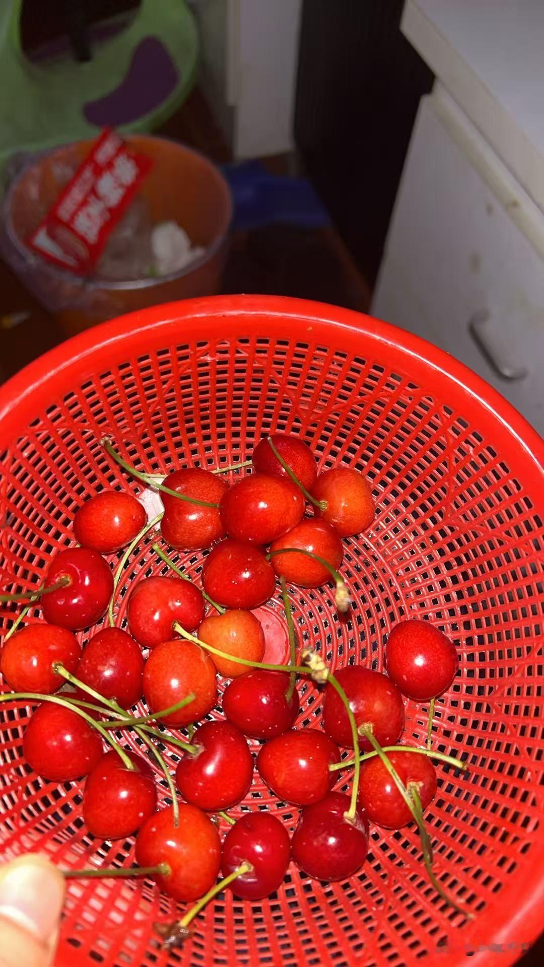越来越看不上我的这个儿媳妇了，每一天晚饭过后，她都会让我儿子陪她出去散心，明里是