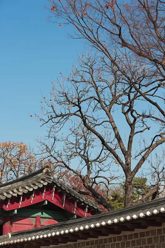 韩国有什么样的传统文化?

韩国传统文化是一幅由儒家思想为底色，融合了佛教、萨满