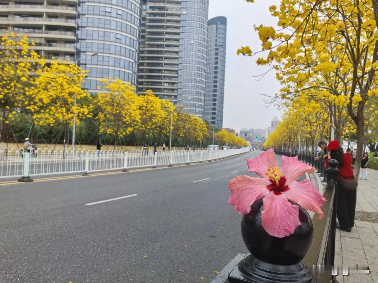 人生最佳状态｜独立自强
  
     在人生的旅程中，一个人最佳的状态莫过于独